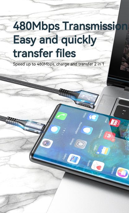 Maxguard 1m Type-C cable M31C